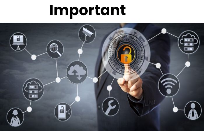 technology consulting