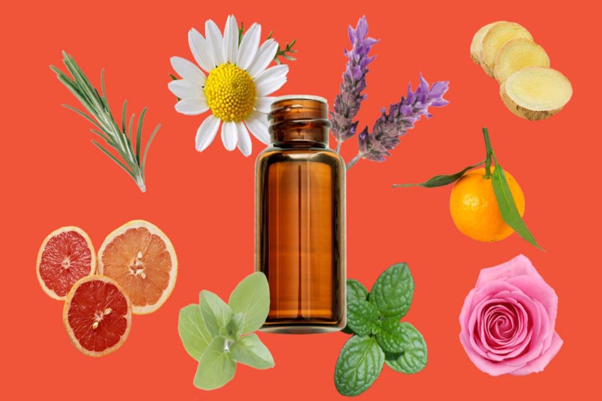 Essential Oils – Definition, Benefits, Types, Uses, and More
