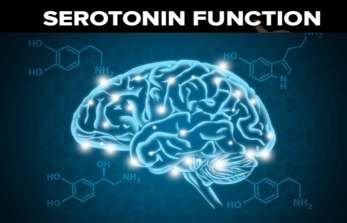 serotonin