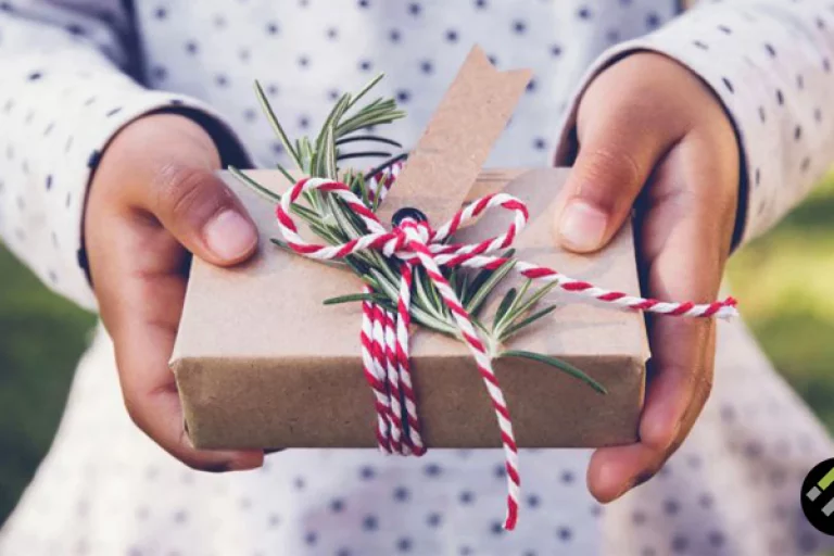 Ecological Gifts: Ideas and Meaning