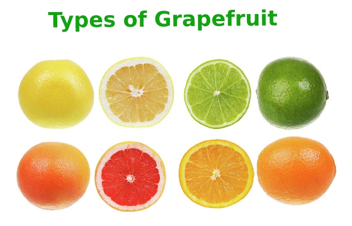 grapefruit