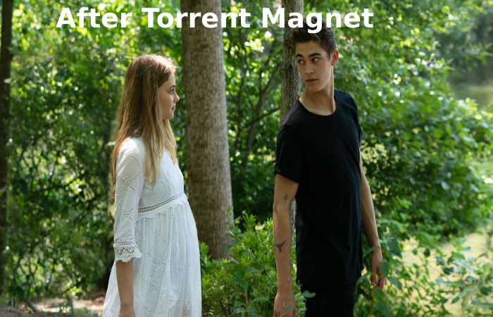 after torrent magnet