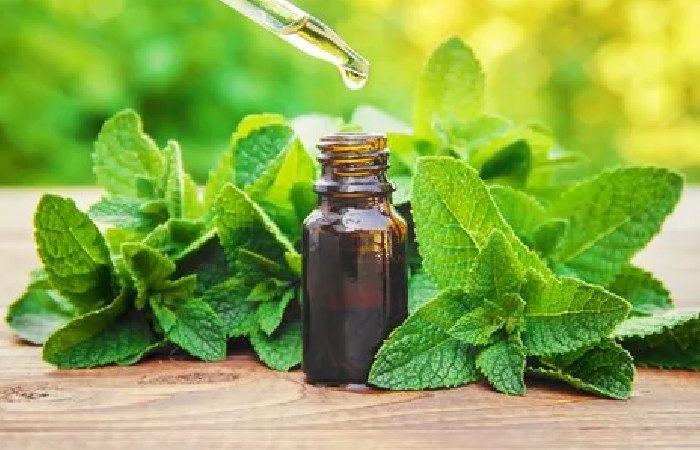 https://www.beaucenter.com/peppermint-oil/