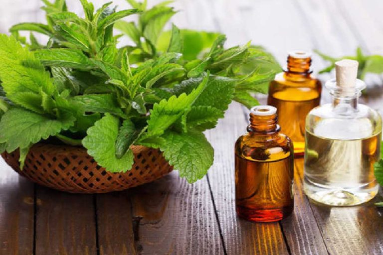 Peppermint Oil: A Comprehensive Guide to Its Uses